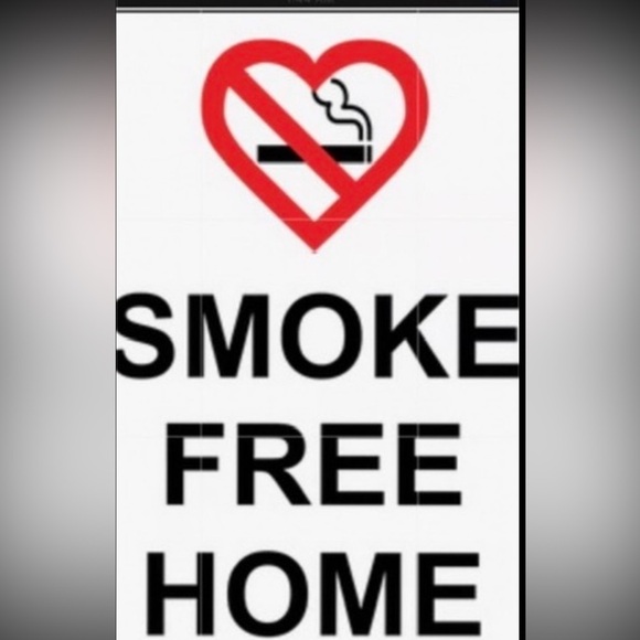 Hand Painted Butterfly Shell - Picture 9 of 10